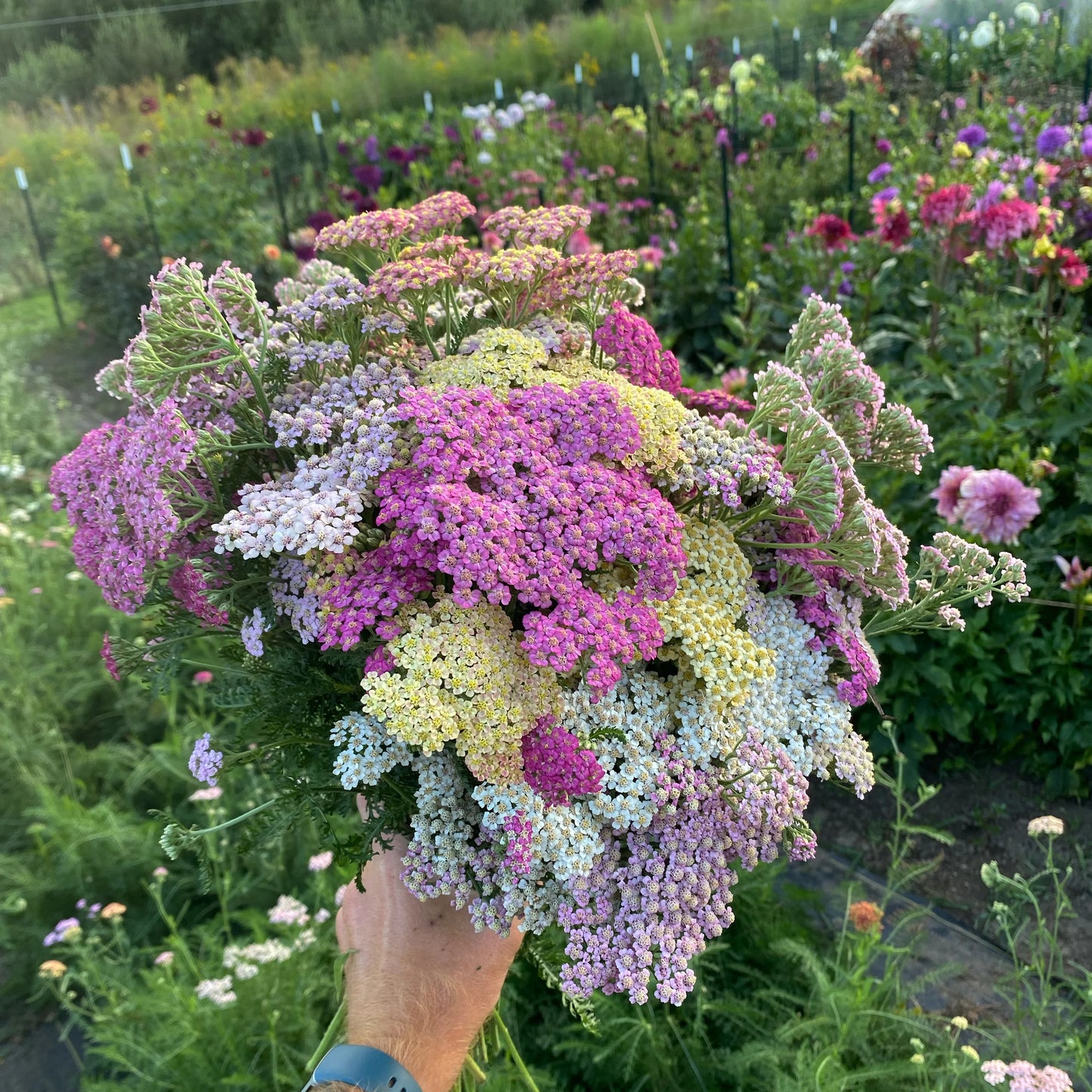 Garden Party Ticket